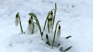 PROGNOZA METEO 1 MARTIE: Minime de -21 de grade la București!