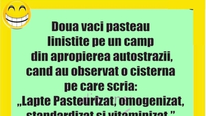 BANCUL ZILEI | Vacile și laptele pasteurizat