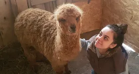 Galerie foto - poza 1