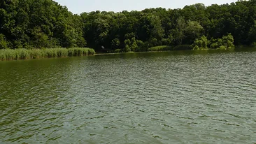 INCREDIBIL ce a putut sa faca acest copil! Lasat singur pe malul lacului Herastrau, era sa moara de doua ori in doar cinci minute