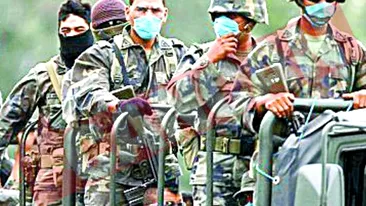 Gripa porcina a ajuns in UE