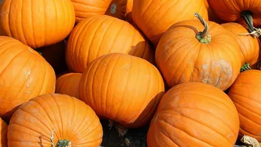 Prețuri de groază, înainte de Halloween! Cât costă un kilogram de dovleac la final de octombrie