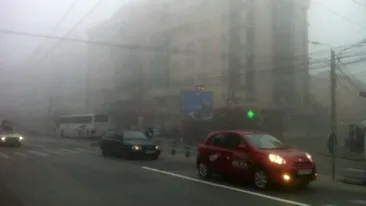COD GALBEN de ceata in Bucuresti si in noua judete din sud si est