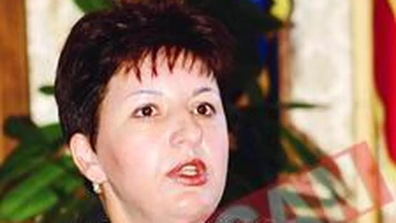 Democrata Sulfina Barbu, mama taxei auto