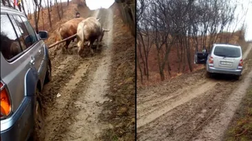 Imagini incredibile în România. O maşină de teren a fost scoasă din noroi cu ajutorul a doi boi