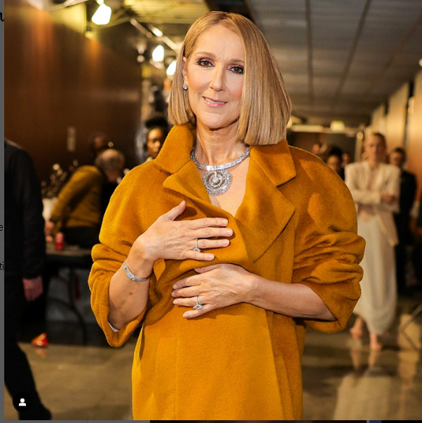Celine Dion la decernarea premiilor Grammy