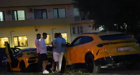 Galerie foto - poza 1