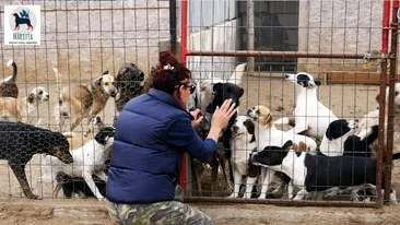  Ce se va întâmpla cu nutriile şi câinii lui Gheorghe Dincă. DSV Dolj închide adăpostul de animale de la Desa