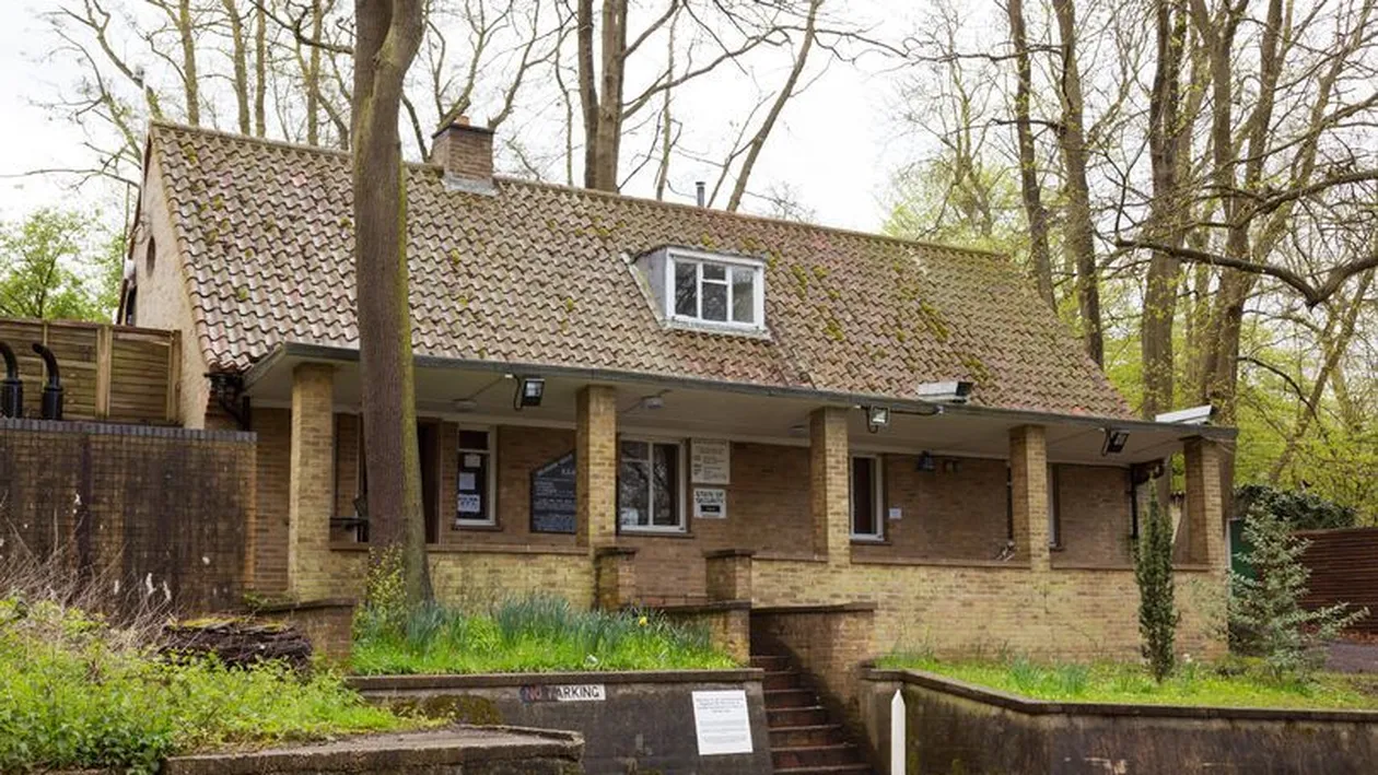 Casa de la tara din anii 1950. Ce secret urias ascunde. Pare normala, dar cand intri in ea…