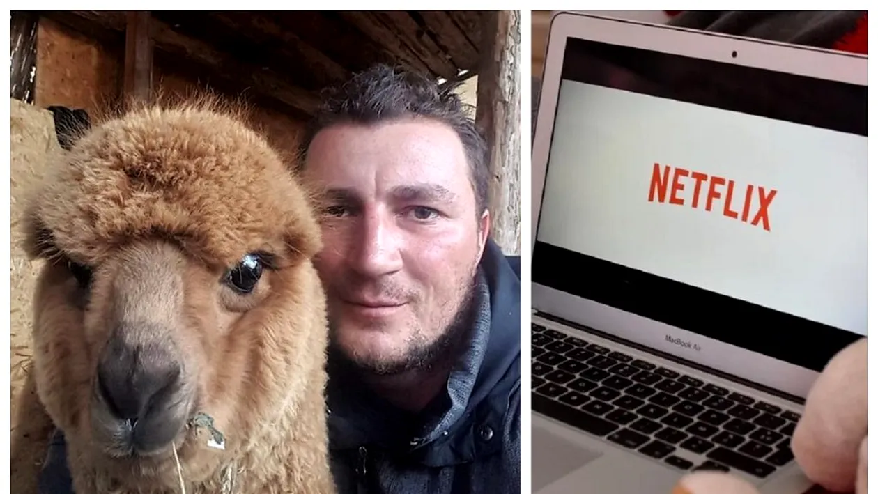Lansare cu urare, de la Netflix! Cum s-a folosit colindul „Florile Dalbe”, în promovarea unui serial și cum a devenit alpaca lui Godină vedetă