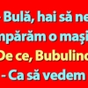BANC | Bulă, Bubulina și noua mașină