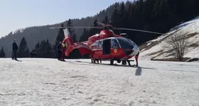 Galerie foto - poza 3