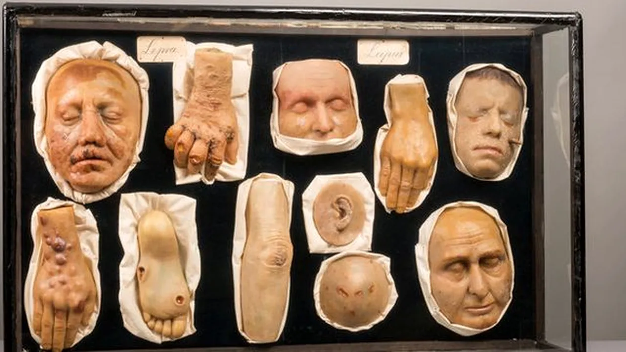 Muzeul figurilor morbide de ceară! L-ai vizita?