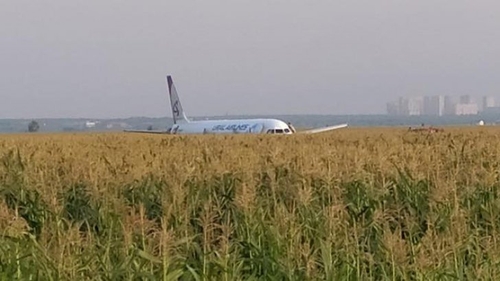Imagini dramatice filmate din avionul care a aterizat forțat într-un lan de porumb VIDEO