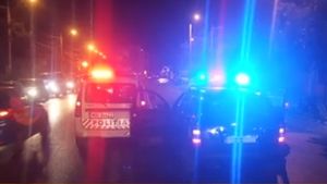 S-au tras focuri de armă în Buzău pentru a prinde un șofer băut
