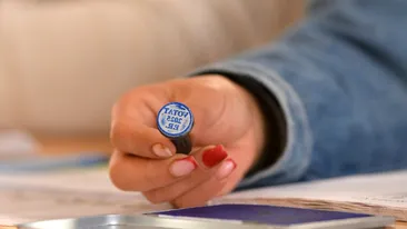 Rezultate parțiale Diaspora | George Simion și Nicușor Dan merg în turul II al alegerilor prezidențiale