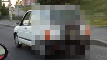 Soferii au crezut ca nu vad bine! In ce si-a transformat un roman micutul Tico intrece orice inchipuire