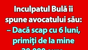 BANC | Bulă, avocatul și onorariul de 20.000 euro