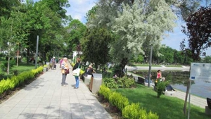 Incredibil ce au descoperit câțiva copii din Arad atunci când se jucau într-un parc