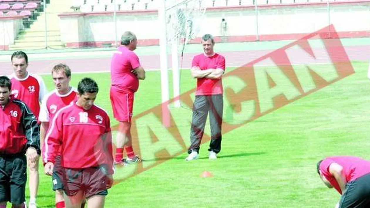 Caini cu limbile de-un cot