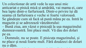 BANC | Colecționarul de artă, pisica și farfurioara veche