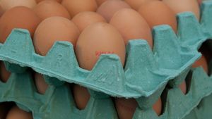 Nu e banc! Cât a ajuns să coste o duzină de ouă în New York sau California