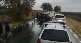 Galerie foto - poza 3