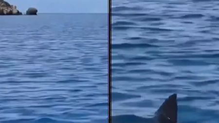 Panică în Turcia, după ce rechinii au venit aproape de țărm! Turiștii au fost evacuați. VIDEO