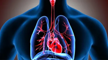 Ingredientul care curăță plămânii. Efectele se simt foarte repede