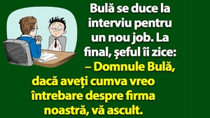 BANC | Bulă se duce la interviu pentru un nou job