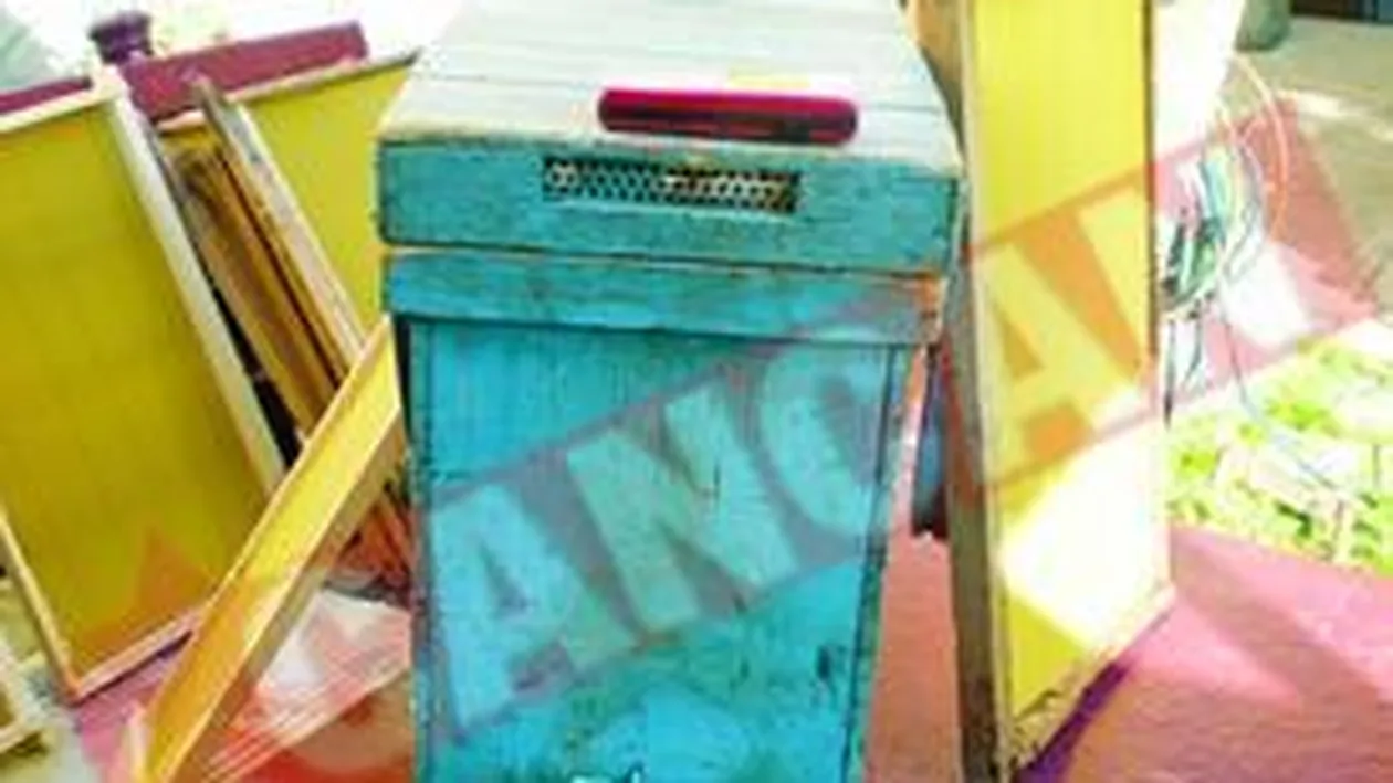 Retelele de telefonie nasc albine ucigase