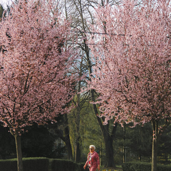 Imagine Galerie #2