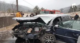 Galerie foto - poza 1