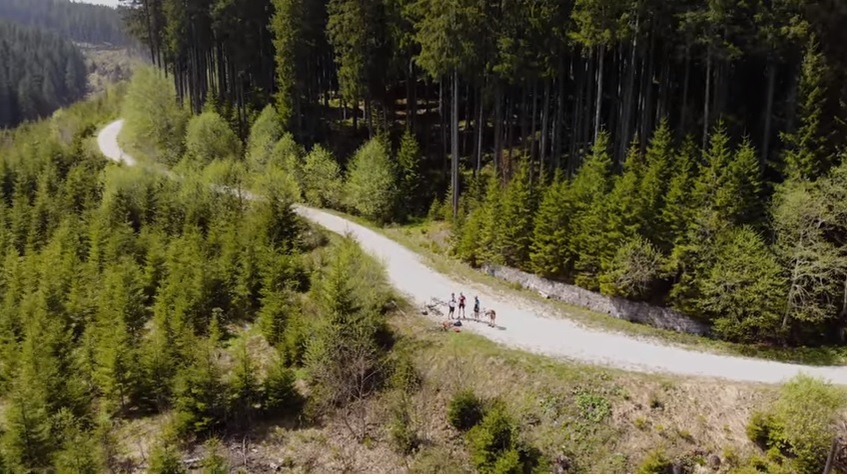 Un biciclist s-a întâlnit cu un urs în Predeal, în minivacanța de 1 Mai! A filmat toată scena