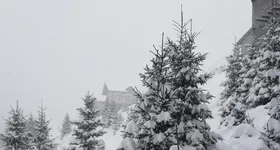 Galerie foto - poza 4