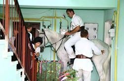 Imagini incredibile! A intrat într-un bloc călare pe un cal ca să își ceară mireasa de la părinți: „Un cavaler la pețit”