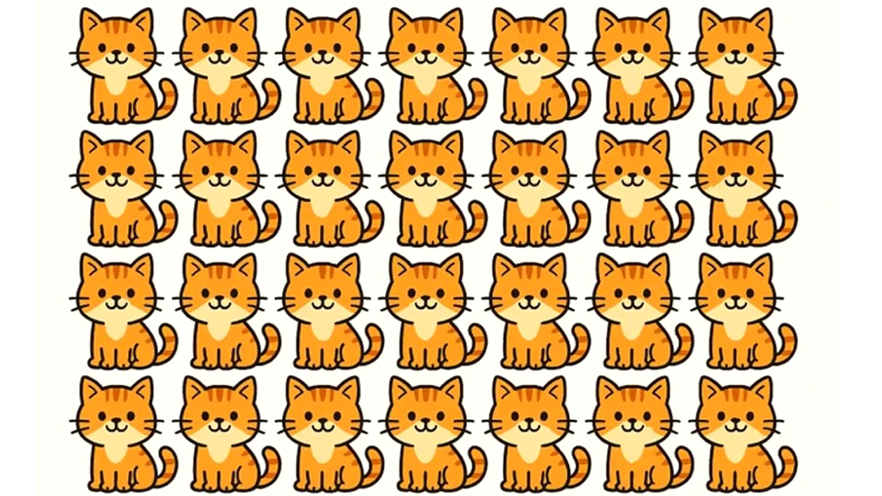 Test de logică | O singură pisică este diferită de toate celelalte. Care?