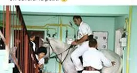 Galerie foto - poza 4