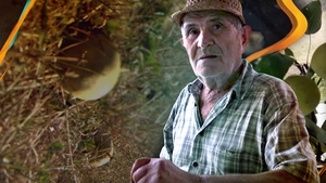 Povestea unui miracol de 100 de ani, care riscă să dispară