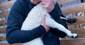 Galerie foto - poza 4