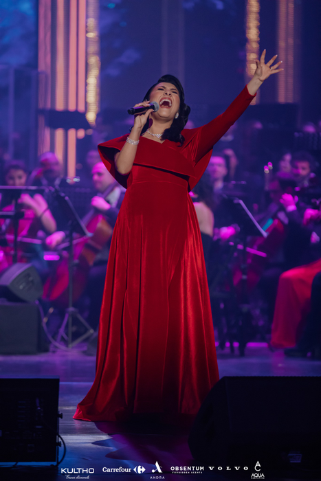 Andra a făcut furori pe scena Operei Naționale (Sursă: Facebook)
