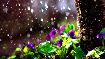 Tu ţi-ai ales Baba? Uite cum va fi vremea azi şi cum te va influenţa asta pe tot anul