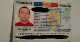 Galerie foto - poza 3