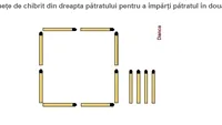 Cel mai greu test IQ, cu beţe de chibrituri. Doar cei mai inteligenţi oameni din lume îl pot rezolva