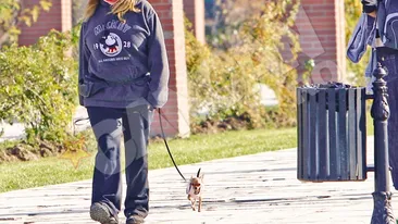 Drama Ancai Badiu!  A fost la un pas sa se sinucida din cauza greutatii