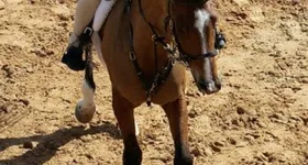 Galerie foto - poza 1