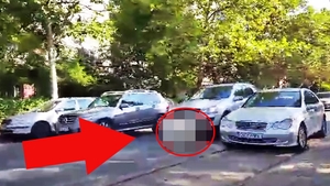 S-a intamplat in miezul zilei! Soferilor nu le-a venit sa creada ce monstru a aparut pe un bulevard din centrul Capitalei