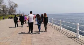 Galerie foto - poza 1