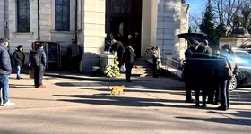 Galerie foto - poza 3