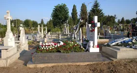 Galerie foto - poza 4